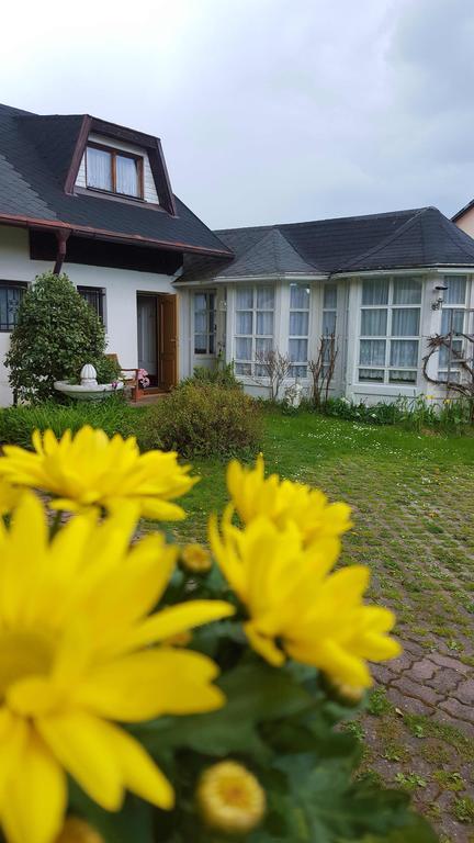 Pension Elbrs Mariánské Lázně Eksteriør billede